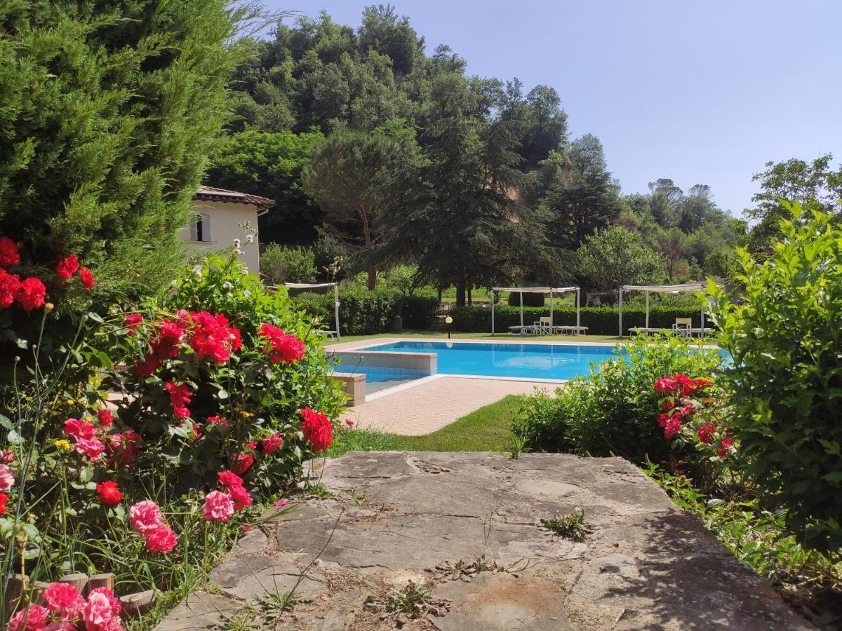 Agriturismo Valleverde San Giovanni Valdarno Dış mekan fotoğraf