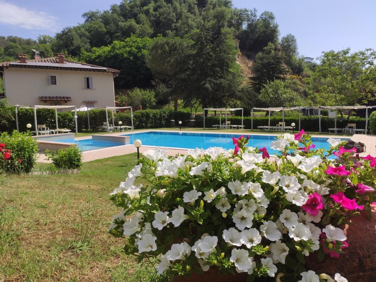 Agriturismo Valleverde San Giovanni Valdarno Dış mekan fotoğraf